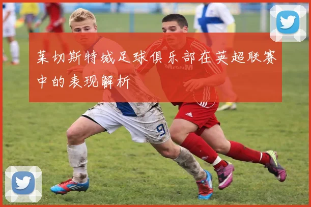 莱切斯特城足球俱乐部在英超联赛中的表现解析