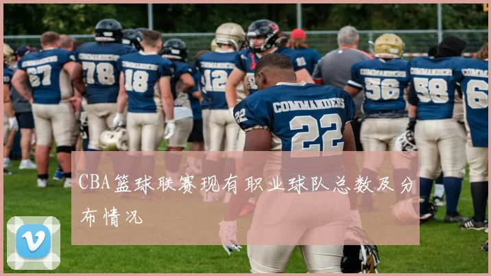 CBA篮球联赛现有职业球队总数及分布情况