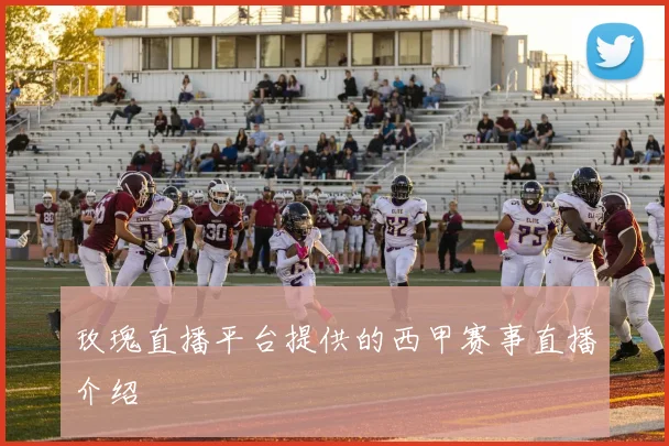 玫瑰直播平台提供的西甲赛事直播介绍