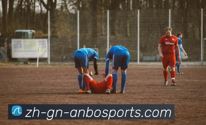 安博体育服务体系